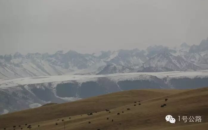 游记|外出务工勿忘计划生育、寒冬自驾甘肃祁连山皇城大草原-怀孕期