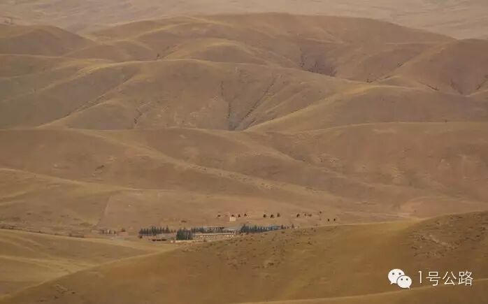 游记|外出务工勿忘计划生育、寒冬自驾甘肃祁连山皇城大草原-怀孕期