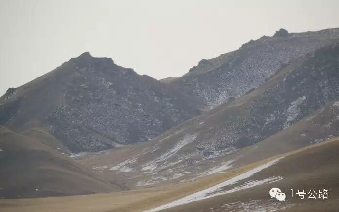 游记|外出务工勿忘计划生育、寒冬自驾甘肃祁连山皇城大草原-怀孕期