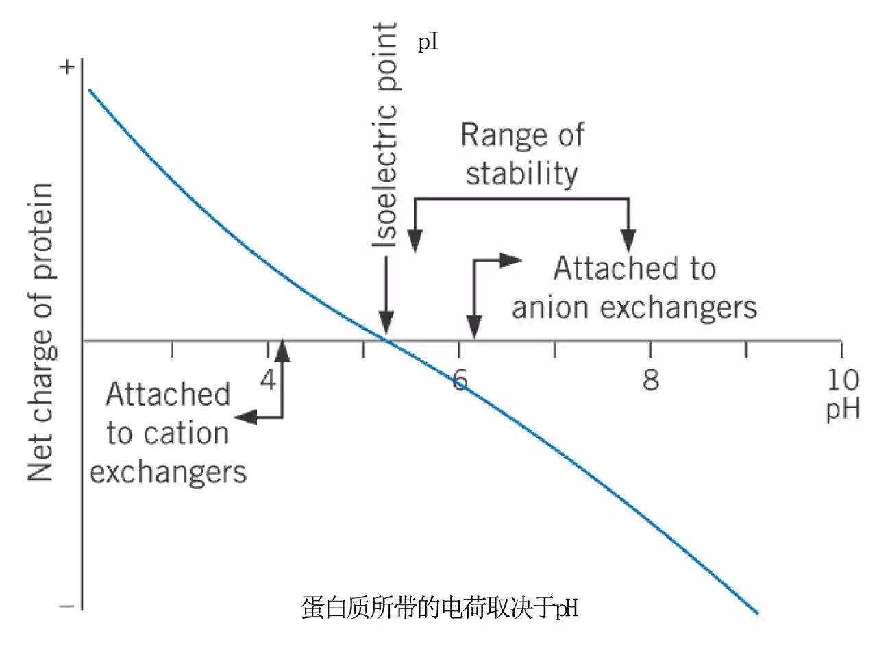isoelectric focusing,generalelectric 不同蛋白质的等电点(pi,isoelectric point)特性,使在不同ph缓冲液