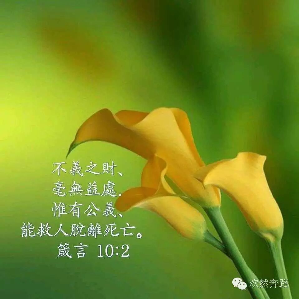 【六月三日】【圣经金句.2017读经计划】【伟大心灵的