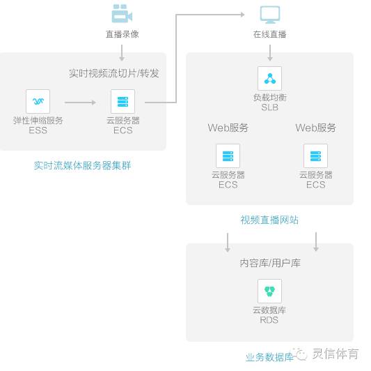 科学竞技 灵信体育让比赛更精彩！