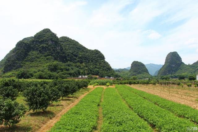 (7)(成行，余少量位置)徒步英西峰林踏春、赏田园风光-户外活动图-驼铃网