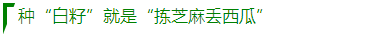 “白袋种子“千万不要买  第4张