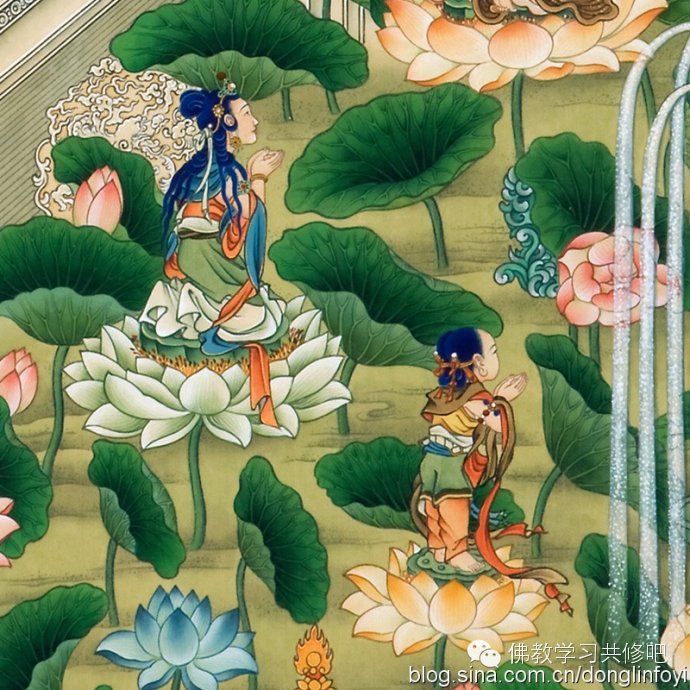 愿天下所有佛子都能看到到这张极乐世界庄严图 - 一颗鹅卵石 - 欢迎光临一颗鹅卵石的网易博客 愿天下所有佛子都能看到到这张极乐世界庄严图 - 一颗鹅卵石 - 欢迎光临一颗鹅卵石的网易博客