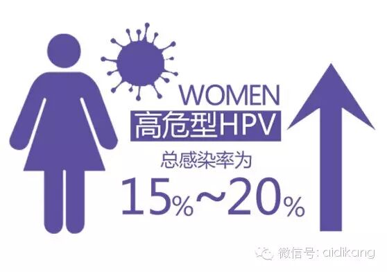 图解HPV、宫颈癌、疫苗三角关系