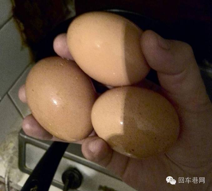 惊!!邯郸莫非真有“塑料鸡蛋”?生产假鸡蛋仅2分钟一个,材料你想不到!-怀孕期