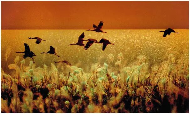 這個富得流油的小國家，竟然是一個中國人建立的！ 歷史 第23張