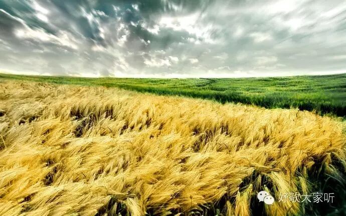 【李健 - 风吹麦浪】