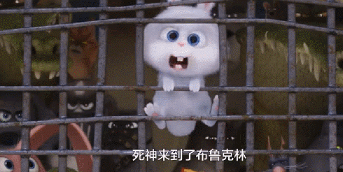 《爱宠大机密》:主人不在家,一起出去浪!