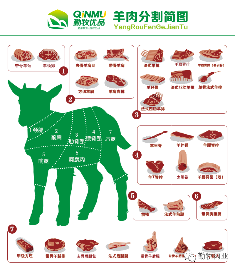 当然,每种做法适合使用的羊肉部位不同,所蕴含的营养