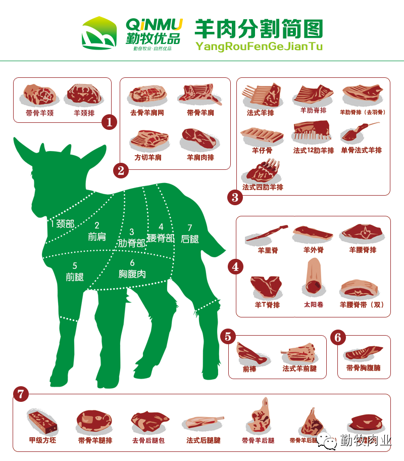 舌尖上的羊肉,勤牧教你吃羊肉