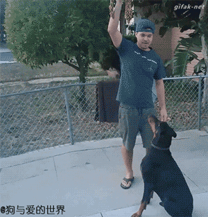 哎呀,主人你好讨厌啦~~!