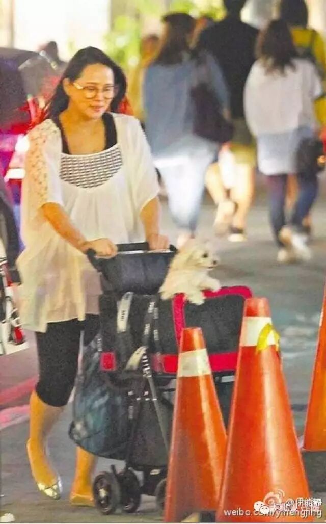 伊能静带了70公斤货,跑美国生孩子