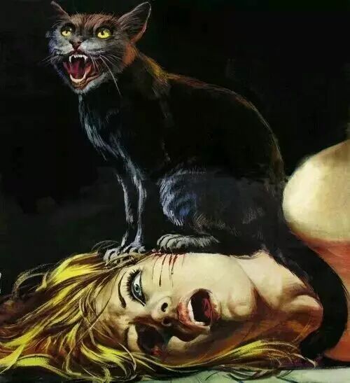 看懂了这20张图你就看懂了这个社会！（太现实）857 / 作者:猫小萌 / 帖子ID:106353