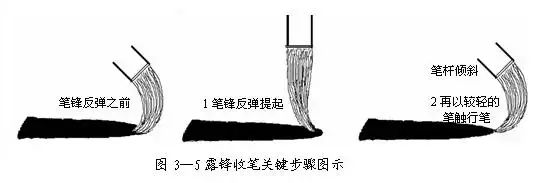 毛笔书法中 中锋,侧锋,偏锋谈线条