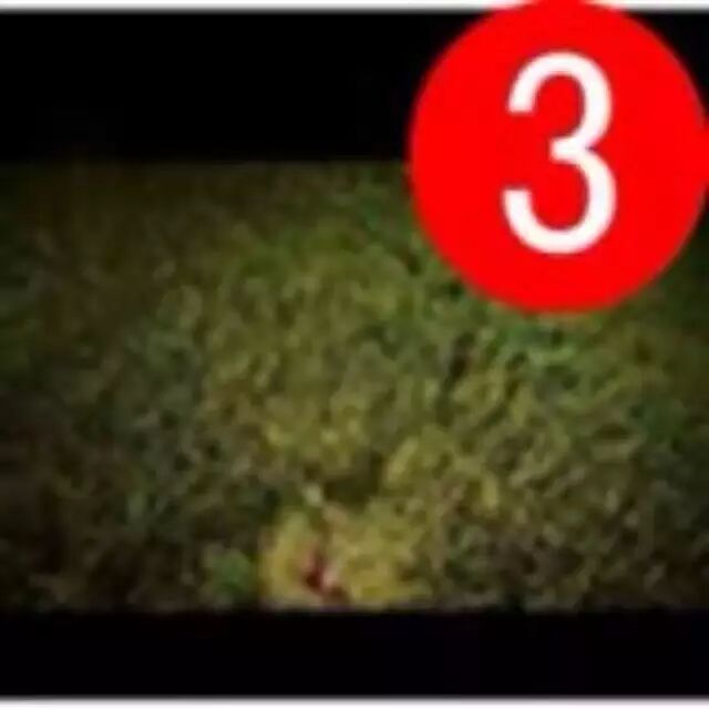 gdp增速_gdp算个屁