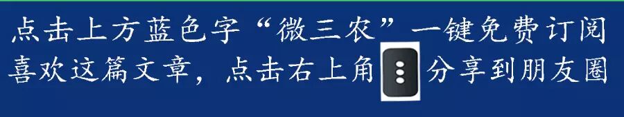 母牛也实行计划生育了-科左后旗冬梅合作社的母牛一起产犊了-怀孕期