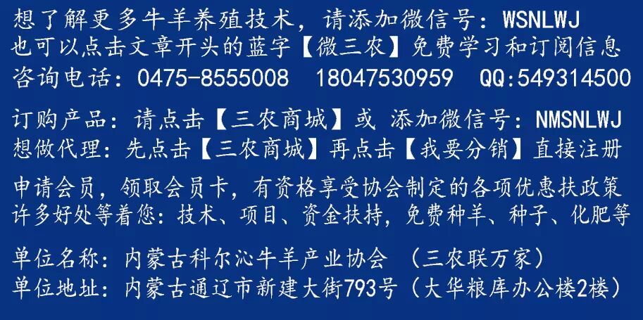 母牛也实行计划生育了-科左后旗冬梅合作社的母牛一起产犊了