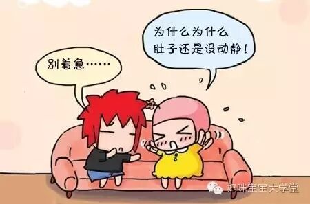 明明有排卵,为啥不怀孕?!-怀孕期