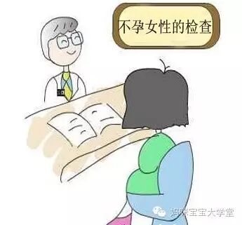 明明有排卵,为啥不怀孕?!-怀孕期