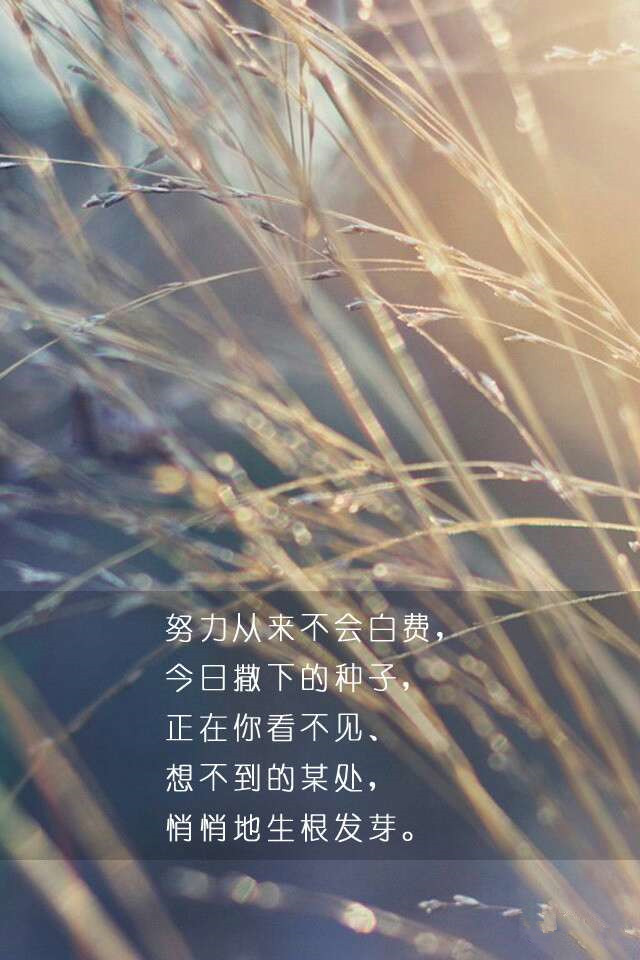 你要拿什么与２０１４告别？