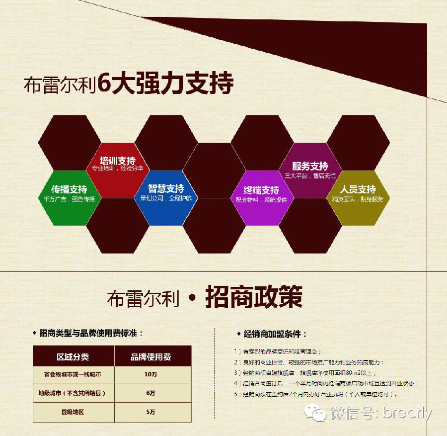 布雷尔利加盟