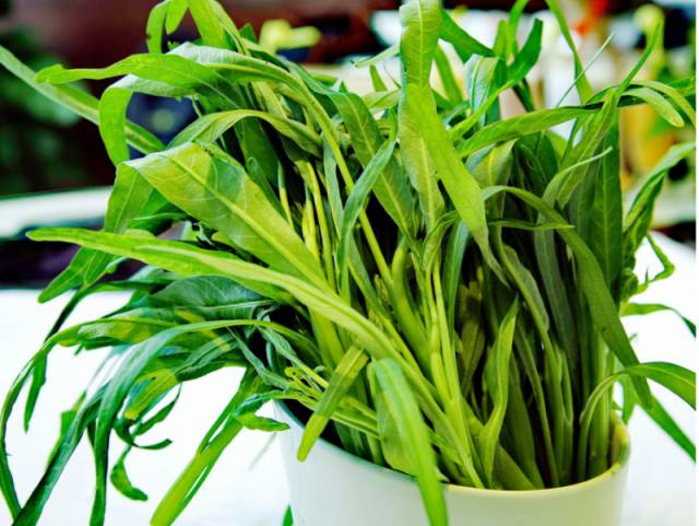 “空心”的这种菜，却是不容拒绝的好东西！36 / 作者:健康小天使 / 帖子ID:169141