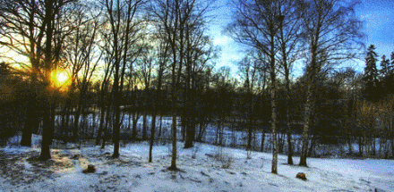 周国平携手众名家邀您一起“寻求智慧人生”