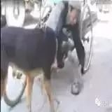 һֻ����12��ȴ����11�공�Ĺ����ж������ˣ�