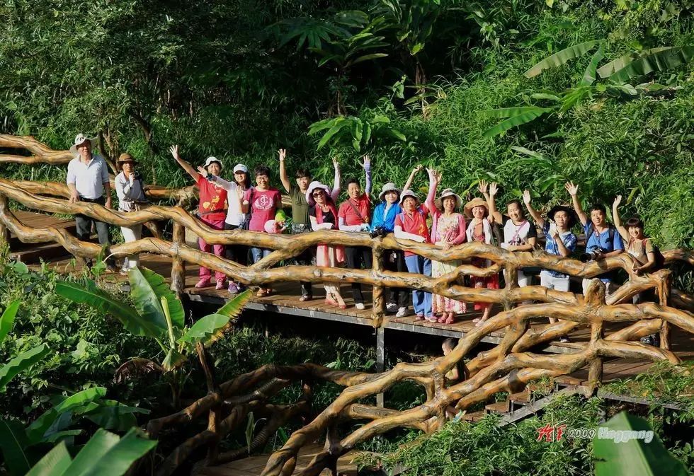 大三亚旅游经济圈|茶溪谷,幽谷天堂的醉美时光