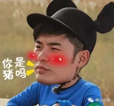 陈赫说,你是猪吗?!