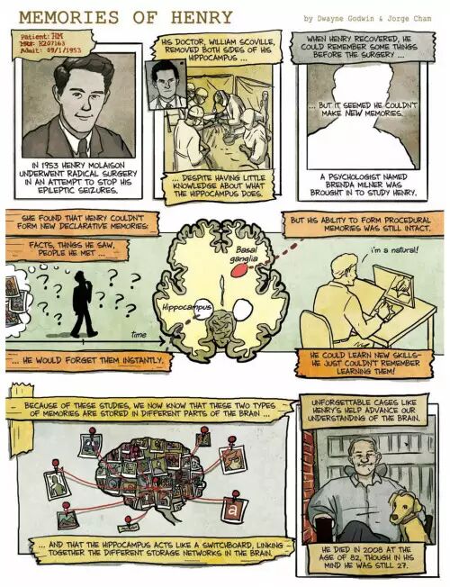 描绘H.M.失去记忆的漫画