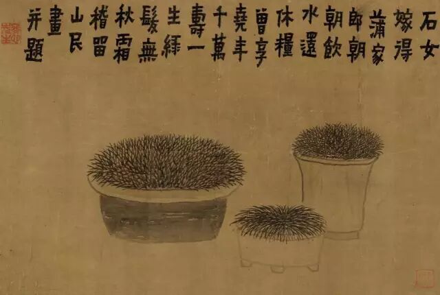 图十三,清 金农《菖蒲图》