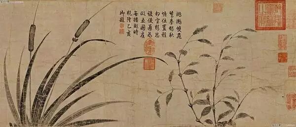 图六,宋徽宗笔下开花的菖蒲与红蓼