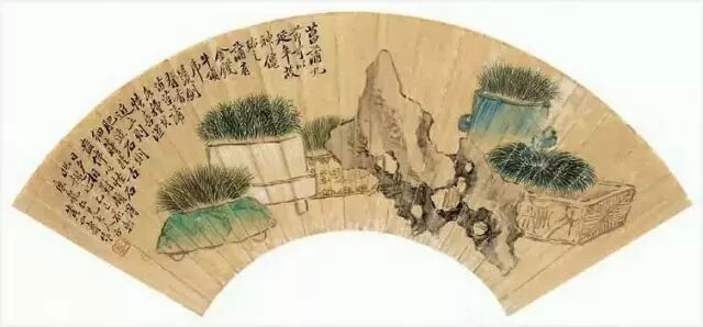 图七,清 黄山寿《菖蒲清供扇面》