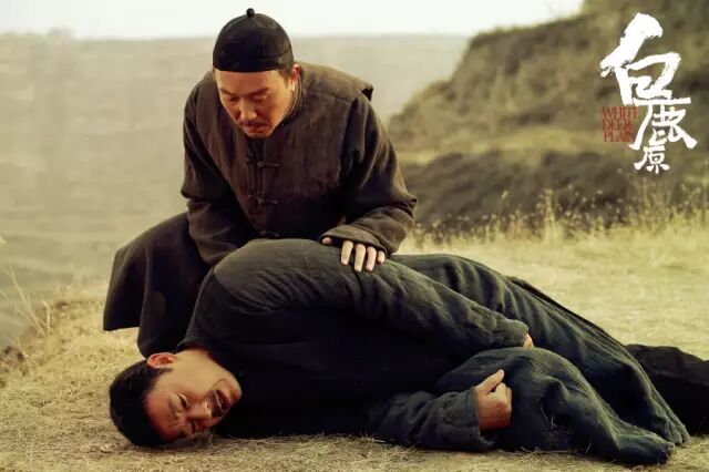 电影《白鹿原》