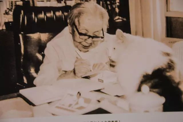 作家冰心,东方IC供图