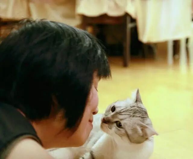 爱猫图。本图由作者提供