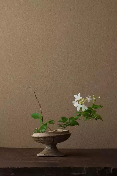 川瀬敏郎的插花作品