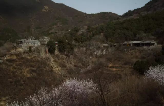 藏在山中的慈善寺(作者供图)