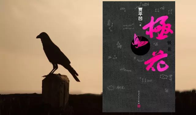 贾平凹/人民文学出版社/2016年