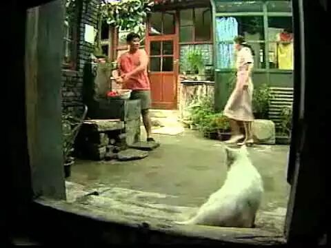 电视剧《贫嘴张大民的幸福生活》中的大杂院