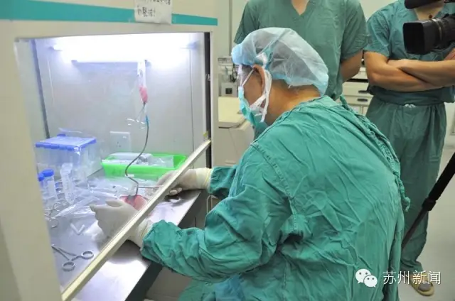 （苏州骄傲）杨惠林：让瘫患者重新站立-爱财经网