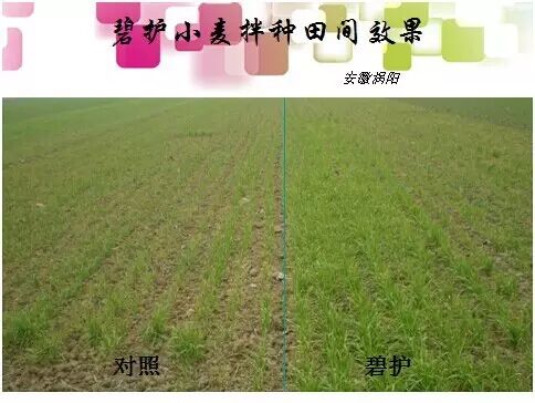 С��߲�__�ӱ̻����ֿ�ʼ����