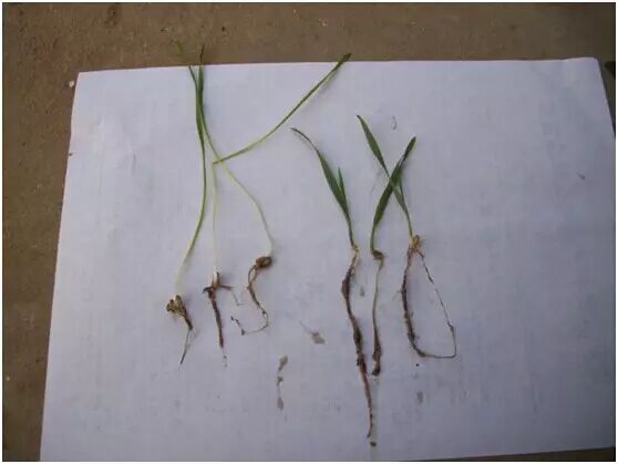 С��߲�__�ӱ̻����ֿ�ʼ����