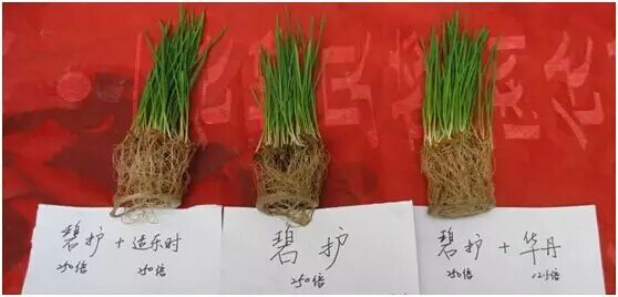 С��߲�__�ӱ̻����ֿ�ʼ����