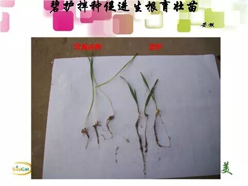 С��߲�__�ӱ̻����ֿ�ʼ����