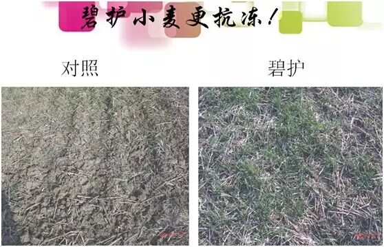 С��߲�__�ӱ̻����ֿ�ʼ����