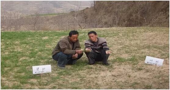 С��߲�__�ӱ̻����ֿ�ʼ����